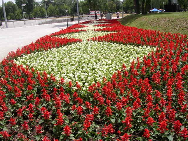 vrt-cvijece-floraart